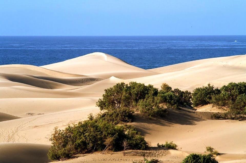 Cozy Bungalow Maspalomas Green Ngoại thất bức ảnh